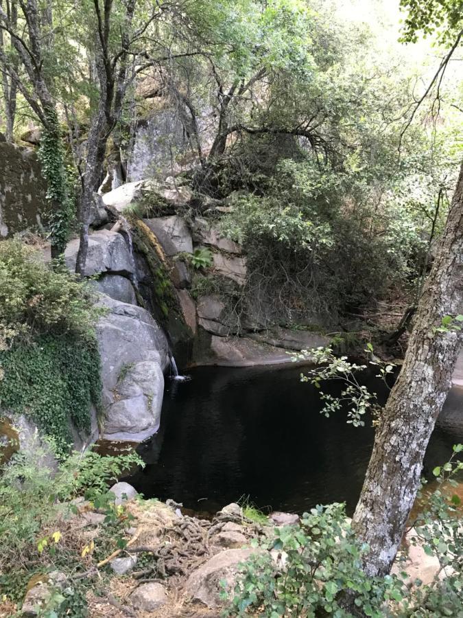 לה אדראדה Posada Rural La Resinera מראה חיצוני תמונה
