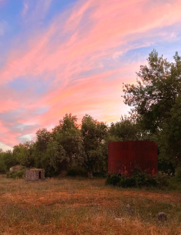 לה אדראדה Posada Rural La Resinera מראה חיצוני תמונה